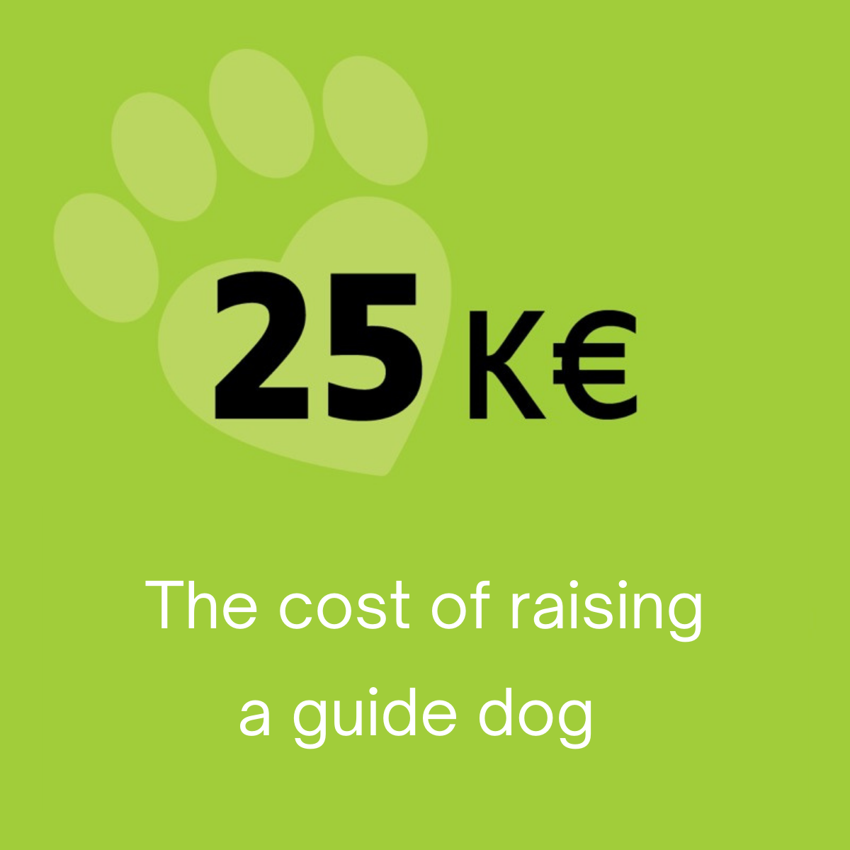 Number 3 25K€ the cost of raising a guide dog