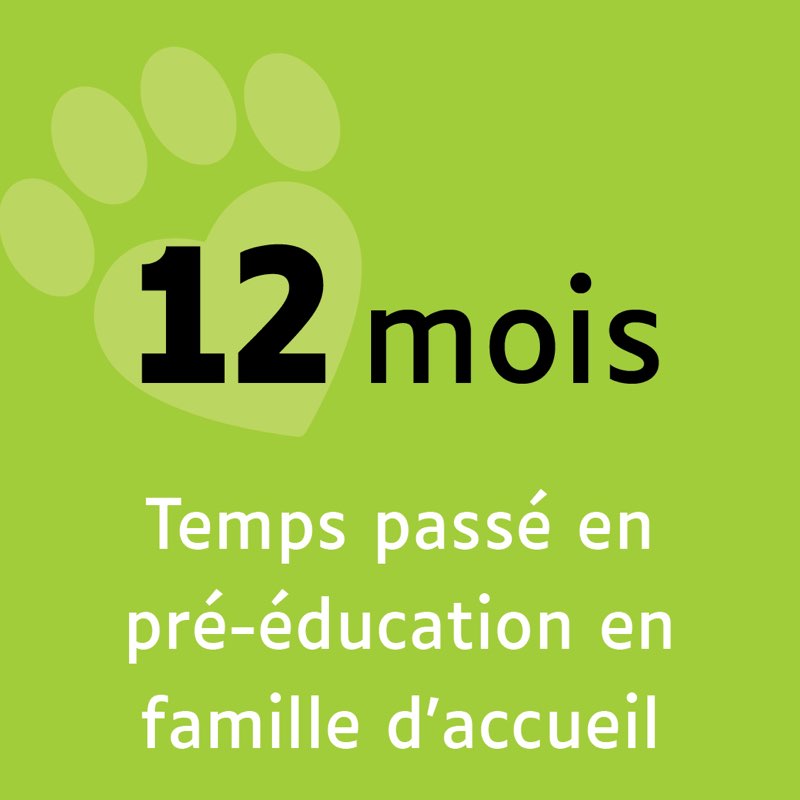 12 mois, temps passé en pré-éducation en famille d'accueil