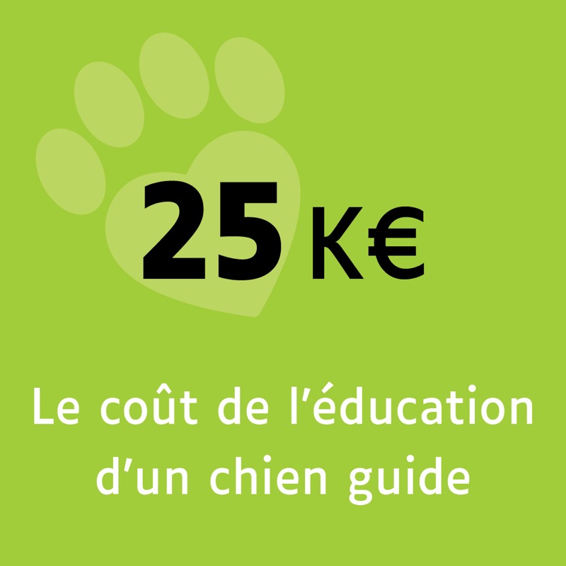 25k€, le coût de l'éducation d'un chien guide