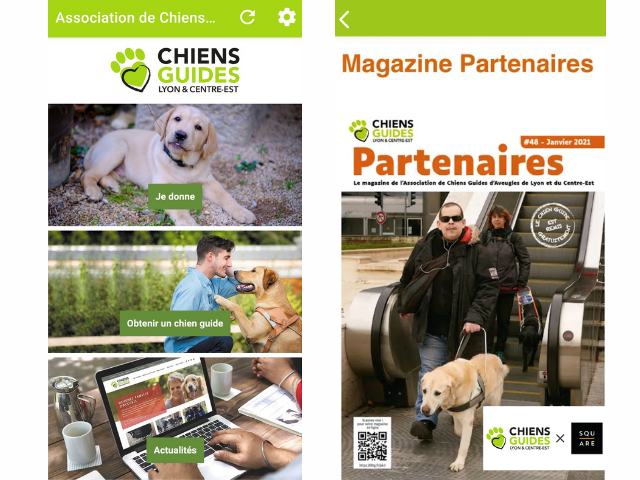 Screen of the application Chiens Guides de Lyon (Guide Dog training)